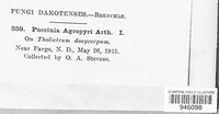 Puccinia agropyri image